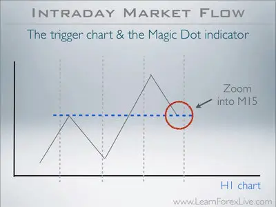 Hector Trader - Market Flow Price Action Course