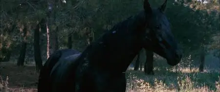Flicka (2006)