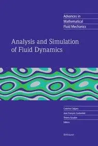 Analysis and Simulation of Fluid Dynamics (repost)