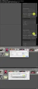Adobe Lightroom CC - The Library Module for Beginners