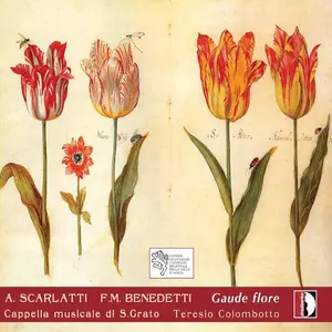Teresio Colombotto, Capella Musicale di San Grato - A. Scarlatti, F.M. Benedetti: Gaude Flore (2006)