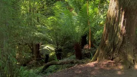 BBC - Glorious Gardens from Above (2014)