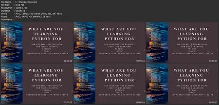 Discover How To Learn Python Even As A Dummy.