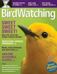 Bird Watching - July/August 2015