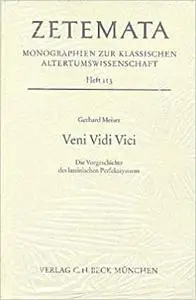 Veni, Vidi, Vici: Die Vorgeschichte Des Lateinischen Perfektsystems