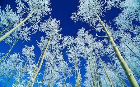 World In Photo 227