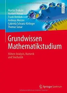 Grundwissen Mathematikstudium: Höhere Analysis, Numerik und Stochastik (Repost)