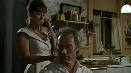 The Bridges of Madison County (1995) [Re-UP]