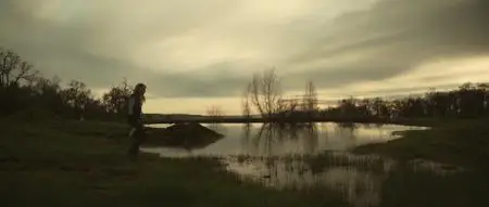 Through the Ashes (2019)