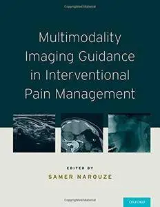 Multimodality Imaging Guidance in Interventional Pain Management