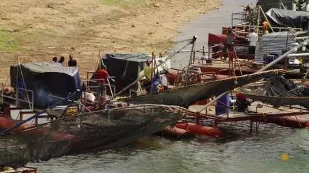 Aerial Africa S01E06