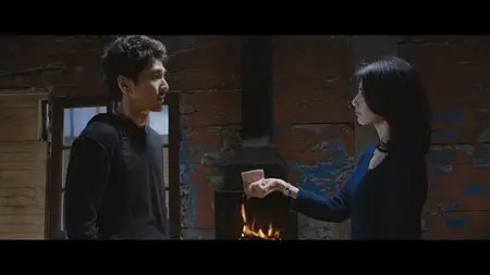 Caught in the Web (2012)