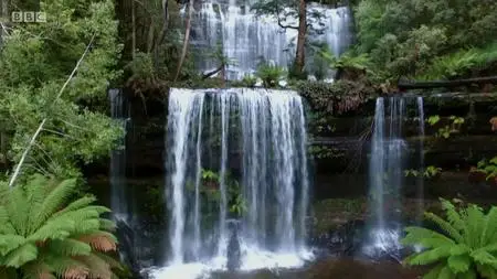 Natural World S38E08