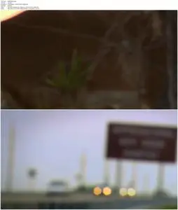 The Private Life of Deer (2013)