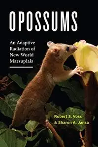 Opossums: An Adaptive Radiation of New World Marsupials