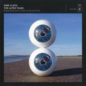 Pink Floyd - The Later Years 1987-2019 (2019) [18-Disc Box Set] Updated