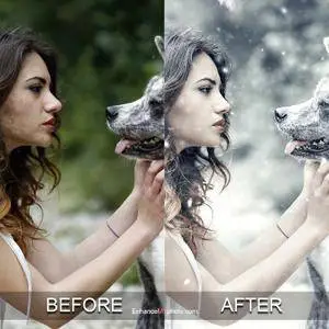 Alessandro Di Cicco Photoshop Effects Complete Bundle