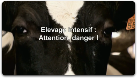 Élevage Intensif : Attention, Danger ! (2014)