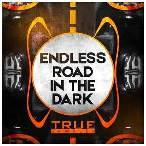 True Samples Endless Road In The Dark WAV MiDi SPiRE