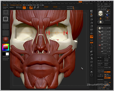 Anatomy of the Face for Artists (2011). [Repost]