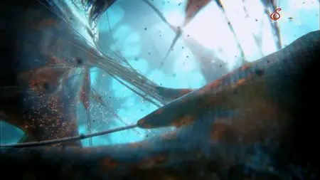 Our Secret Universe: The Hidden Life of the Cell (2012)