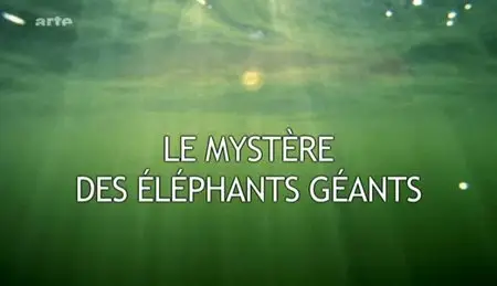(Arte) Le mystère des éléphants géants (2012)