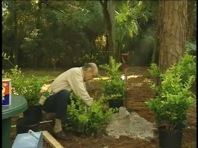 Gardening with Jerry Baker - Around the Yard (I & II)