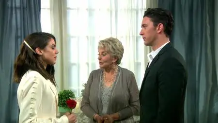 Days of Our Lives S54E106