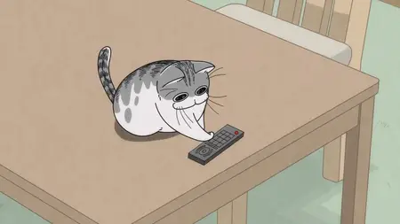 Nights With a Cat - S01E03 - Night 3 A Cat That Tends to Drop Things