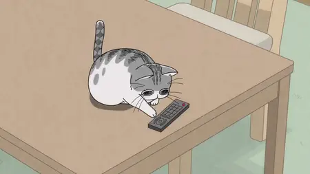 Nights With a Cat - S01E03 - Night 3 A Cat That Tends to Drop Things