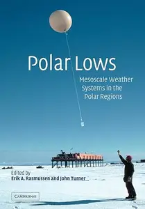 Polar Lows: Mesoscale Weather Systems in the Polar Regions