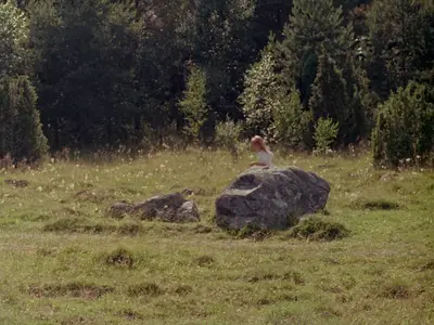 Hugo och Josefin / Hugo and Josephine (1967)