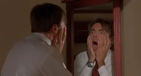 Fatal Instinct (1993)