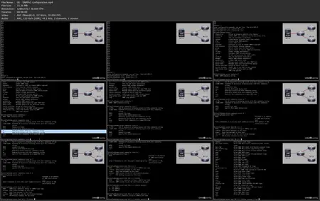 Cisco CCNP Enterprise: ENCOR v1.1 (350-401) Cert Prep