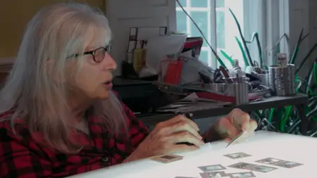 Beyond the Gaze: Jule Campbell's Swimsuit Issue (2024)