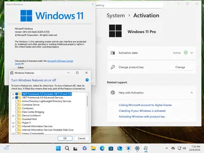Windows 11 Pro 25H2 Build 26200.6725 (No TPM Required) Multilingual Preactivated