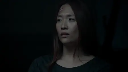 The Bridge S04E08