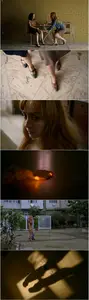 Rudder of Destiny (2023) Leme do Destino