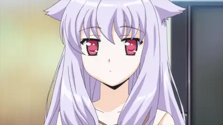 Stray Cats Overrun! (2010 S01E02 Stray Cats Smiled Tsundere