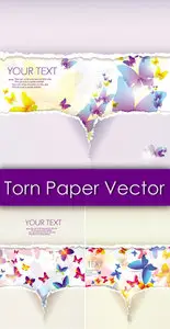 Torn Paper with Butterflies Vector