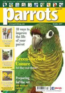 Parrots - October 2017