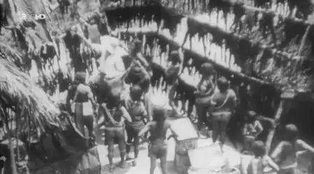 ZDF History - Herrenmenschen im Regenwald