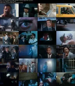 Destroyer (1988) 