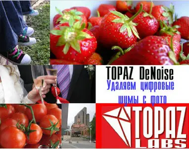 Topaz DeNoise v4.0.0 for Photoshop (32 | 64Bit)