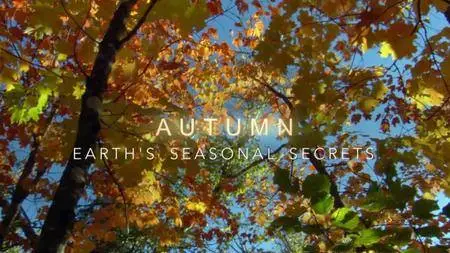 BBC - Autumn: Earth's Seasonal Secrets (2016)