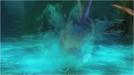 The Reef 2: High Tide (2012)