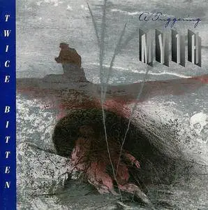 A Triggering Myth - 2 Studio Albums (1993-1995)