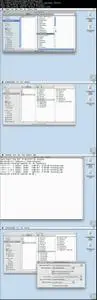 Advanced Mac OS X - Technical And Security Skills