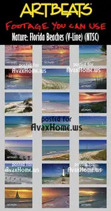Artbeats Nature: Florida Beaches (V-Line) (NTSC)