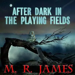 «After Dark in the Playing Fields» by M.R.James